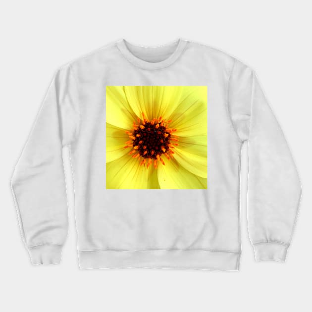 Yellow Dahlia Flower Crewneck Sweatshirt by EdenLiving